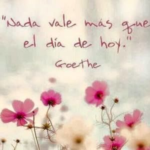 Meet your Posher, Adriana